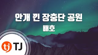 [TJ노래방 / 멜로디제거] 안개낀장충단공원 - 배호 / TJ Karaoke