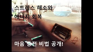 지친 일상에서 활력을! 마음 재충전 꿀팁