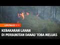 Lahan di Kawasan Perbukitan Danau Toba Terbakar! | Liputan 6