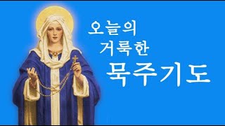 거룩한 묵주기도 영광의 신비 (2025.2.12 수 오전 9시)