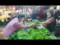 狐狸菜園 11 5 6 採摘生菜到傳統市場的賣菜實錄 lettuces and vegetables on sale in a local market of taichung taiwan