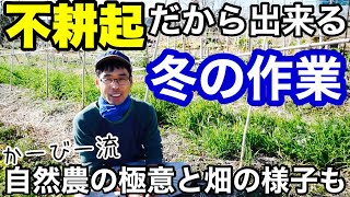 不耕起栽培だからできる1月の畑作業と放任栽培のコツ【自然農･家庭菜園】2022年1月10日