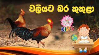 වලියට බර කුකුළා - Wali Kukula | පුංචි අපේ දැනුම් පොතට | Shraddha Kids