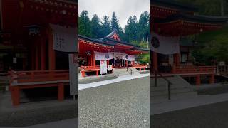 【金の成る木】一生涯金運に恵まれる神社#japan #山梨 〜金櫻神社〜