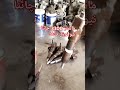 how to master 3300 china injector repair.