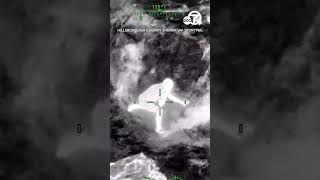 Suspect makes dirt angels while hiding from Florida deputies
