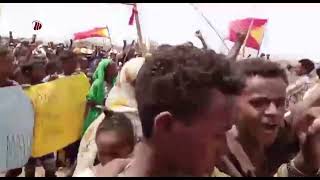 DW TV NEWS   የትግራይ ተወላጆች ስደተኞች ችግር በሱዳን