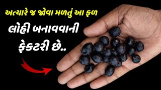 અત્યારે જ જોવા મળતું આ ફળ - લોહી બનાવવાની ફેકટરી છે || increase hemoglobin