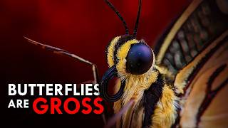 Butterflies Aren't What You Think They Are