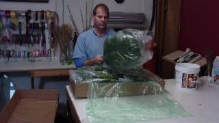 How To Prepare CR Phoenix Roebellini - lwflowers.com