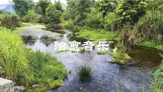 钵音经典  纯音乐 治愈《寂静之空》身心回归自然 轻快愉悦之音