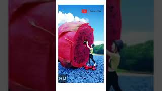 Mobile Photography Ideas || #Part12 #Creative