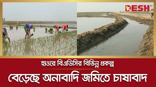 হাওরে বিএডিসির বিভিন্ন প্রকল্প, বেড়েছে অনাবাদি জমিতে চাষাবাদ | Kisorganj | Desh tv news