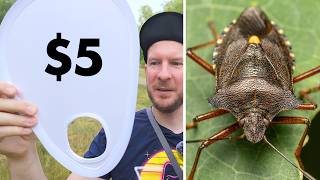 I tried the Cheapest Macro Photography Diffuser