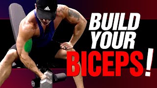 How To Build Your Biceps With Dumbbells Only (4 BEST Exercises!)
