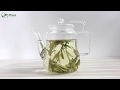 How to brew Chinese Long Jing (Dragon Well) Green Tea