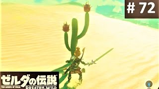 【ビリビリフルーツを探して : グコ・チセの祠】攻略 ゼルダの伝説 ブレスオブザワイルド #72　\