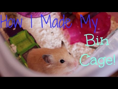How I Made My Bin Cage! How I Made My Bin Cage!