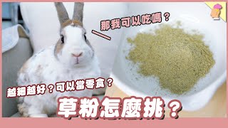 #抽獎文 草粉怎麼挑？越細越好？可以當零食？｜兩隻胖兔兔 侑敏yomin