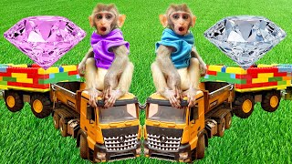 Monkey Baby Bin Bin takes truck animal revolt on the farm