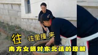 盘点南方女婿对东北话的理解，总感觉是不是哪里做错了，笑不活了