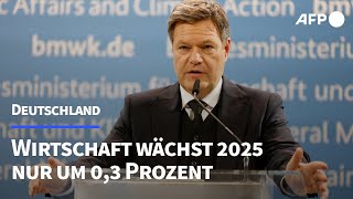 Bundesregierung senkt Wachstumsprognose für 2025 drastisch ab | AFP