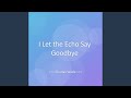 I Let the Echo Say Goodbye
