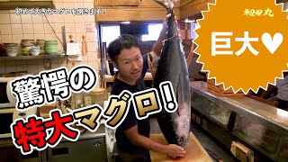 釣り巨大キハダマグロ解体！カンタンさばき方～刺し身にするまで【閲覧注意】How to cut a giant yellowfin tuna.