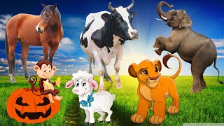 Learn family animals: Ducks, cows, cats, dogs, horses, pigs - Animal sounds