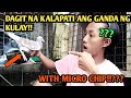 DAGIT NA KALAPATI!! OFF COLOR PANG SHOW ANG KULAY!! NAKA MICRO CHIP KAYA??!!