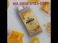 TERLARIS !!! MADU INI BIKIN NAGIH, KOK BISA???