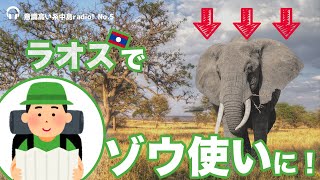 ラオスでゾウ使いになった大学生登場！一人旅の魅力を聞いてみた！