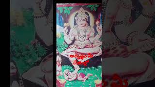 అదృష్టం ఉంటేనే మీరు ఈ వీడియో చూడగలరు #paramacharya  #shorts #shots #chaganti  #arunachala #bakthi