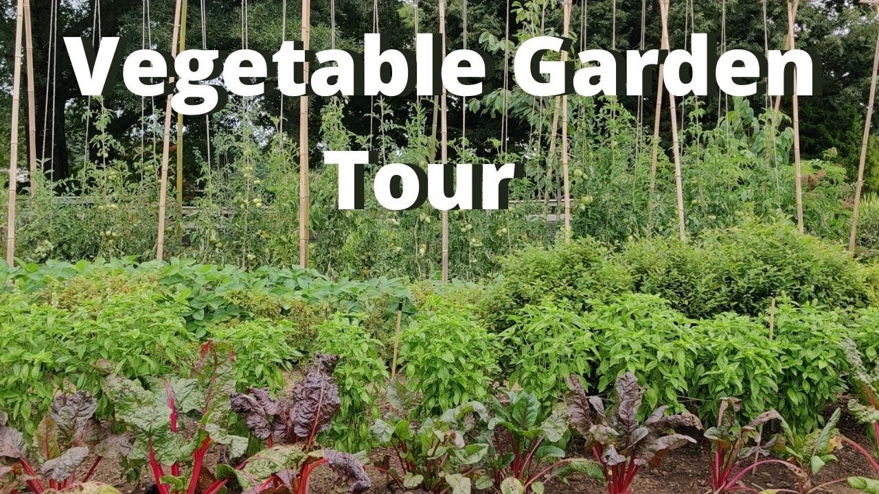 Vegetable Garden Tour Amazing Garden Youtube