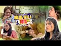 CHACHU K GHAR DAWAT 🥰 | Zainab Ko Udhr He Bhol Aye 😅 | Bolna Wala Tota 🦜