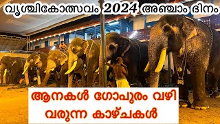 Vrichikolsavam 2024 | അഞ്ചാം ദിനം രാത്രീ കാഴ്ചകൾ | vrichikolsavam 2024 live