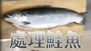 【海洋主廚愛爾文魚類處理】2018如何處理鮭魚？｜2018 How to deal with the salmon?