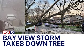 Bay View storm takes down tree, falls on Kia | FOX6 News Milwaukee