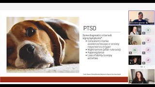 Shane Stanis Talking Dog Signs of Stress