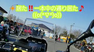 ❇(38)2020新年２日恒例、岡山道の駅一本松ご挨拶の儀☺