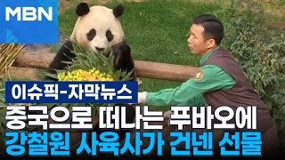 [자막뉴스] ＂푸바오는 저에게 첫정＂ 떠나는 푸바오에 강철원 사육사가 건넨 선물 | 이슈픽