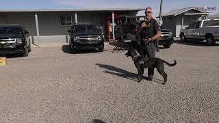 Mohave County Sheriff K9 Fundraiser and Car Show 2020