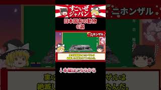 「この動物・・変じゃね？」訪日外国人が衝撃を受けた日本にしかいない動物６選【ゆっくり解説】【海外の反応】【Part2】 #ゆっくり解説 #日本称賛 #海外の反応