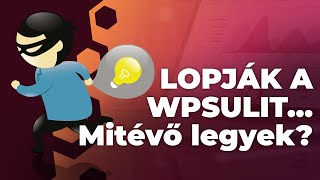 Lopják a WPSulit...Mitévő legyek?? Vállalkozói mentalitás vlog.