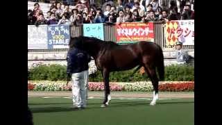 トウカイテイオーが東京競馬場にやってきた！