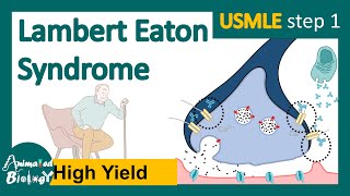 Lambert Eaton syndrome | Lambert–Eaton myasthenic syndrome | NMJ diseases | USMLE step 1