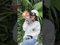 已经笨手笨脚了，不能再让笨男人再绊我一脚了！ 机车 女骑 凯旋bobber