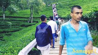 Tipam Deosali hills vlog || 🤩