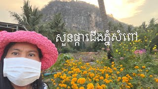 ទិដ្ឋភាពជើងភ្នំសំពៅពេលសត្វប្រចៀវហើរចេញពីរូង