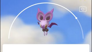 [포켓몬고 진화] 음뱃 음번 Noibat Noivern